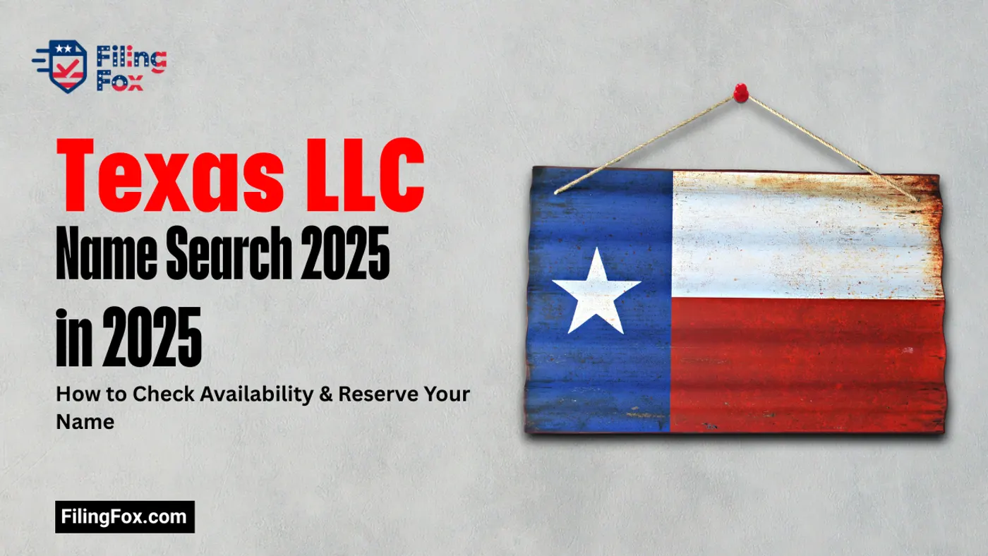 Texas Business Entity Search & LLC Name Lookup