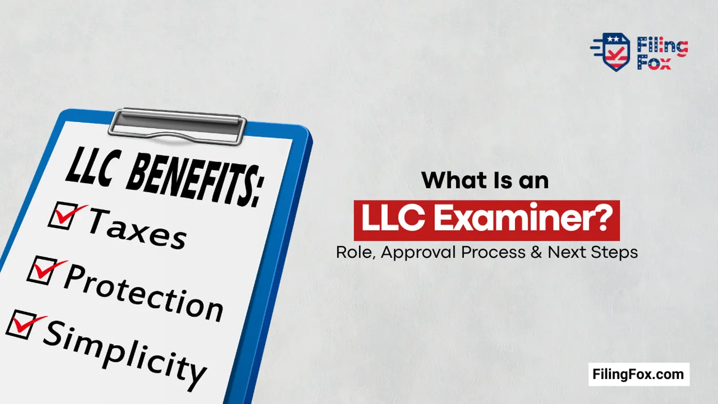 What Is an LLC Examiner? Role, Approval Process & Next Steps